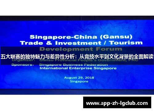五大联赛的独特魅力与差异性分析：从竞技水平到文化背景的全面解读