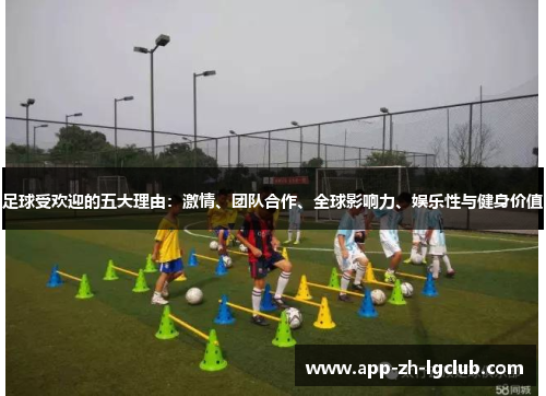 足球受欢迎的五大理由:激情、团队合作、全球影响力、娱乐性与健身价值 足球受欢迎的五大理由:激情、团队合作、全球影响力、娱乐性与健身价值